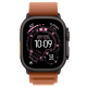 Apple Watch Ultra 3 GPS + Cellular 49mm Black Titanium Case with Terra Cotta Alpine Loop - Large (MG9F4)