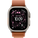 Apple Watch Ultra 3 GPS + Cellular 49mm Natural Titanium Case with Terra Cotta Alpine Loop - Large (MFTD4)