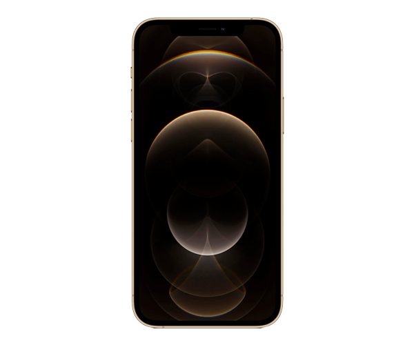 Apple iPhone 12 Pro Max 256GB Gold (Вживаний)